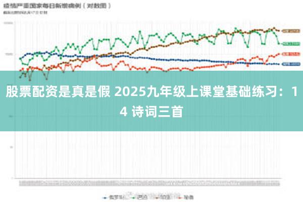 股票配资是真是假 2025九年级上课堂基础练习：14 诗词三首