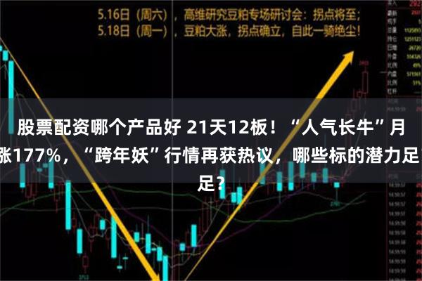 股票配资哪个产品好 21天12板！“人气长牛”月涨177%，“跨年妖”行情再获热议，哪些标的潜力足？