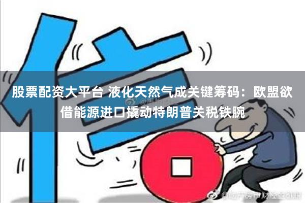 股票配资大平台 液化天然气成关键筹码：欧盟欲借能源进口撬动特朗普关税铁腕