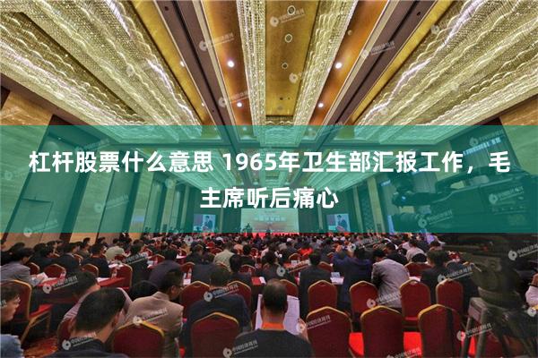 杠杆股票什么意思 1965年卫生部汇报工作，毛主席听后痛心