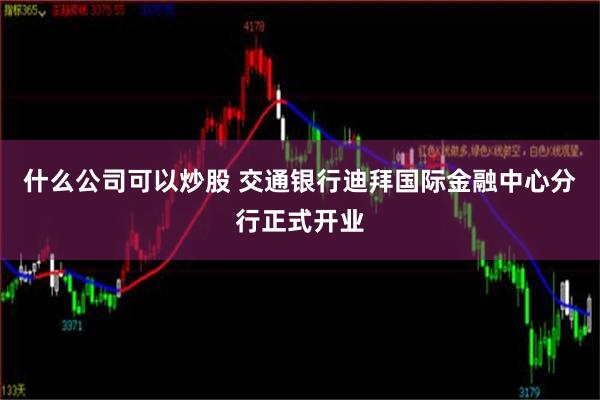 什么公司可以炒股 交通银行迪拜国际金融中心分行正式开业