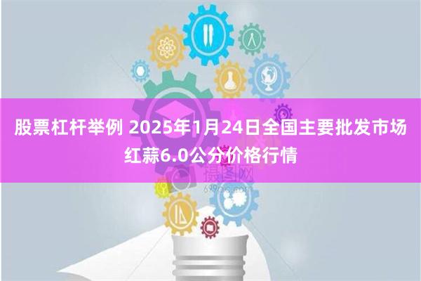 股票杠杆举例 2025年1月24日全国主要批发市场红蒜6.0公分价格行情