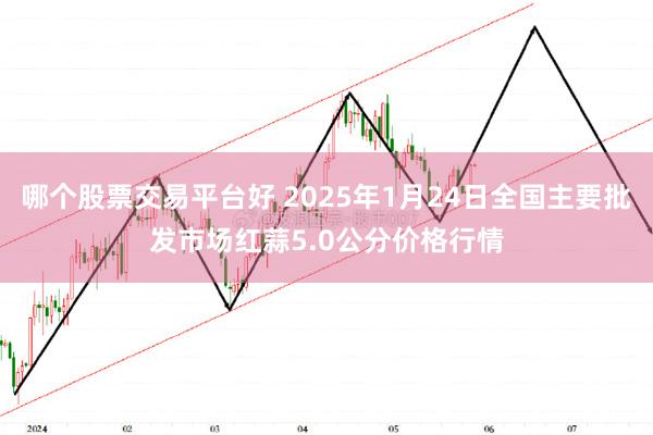 哪个股票交易平台好 2025年1月24日全国主要批发市场红蒜5.0公分价格行情