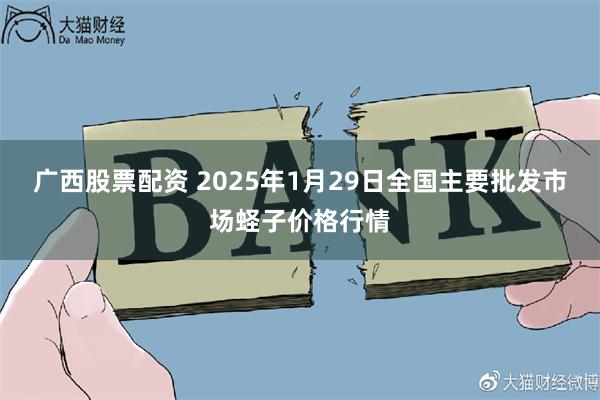 广西股票配资 2025年1月29日全国主要批发市场蛏子价格行情