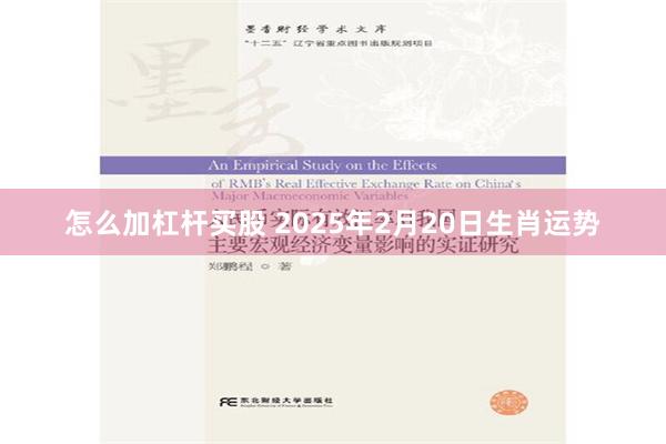 怎么加杠杆买股 2025年2月20日生肖运势